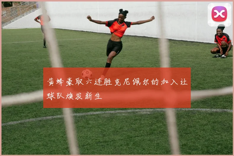 黄蜂豪取六连胜克尼佩尔的加入让球队焕发新生