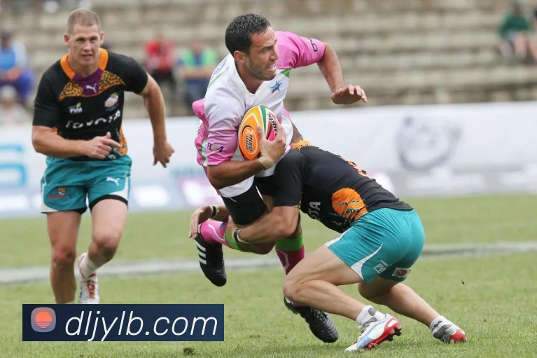 多媒体互动体验